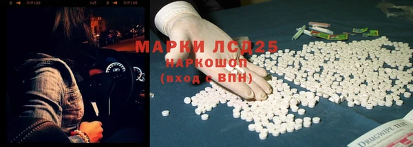 молекула духа Арсеньев