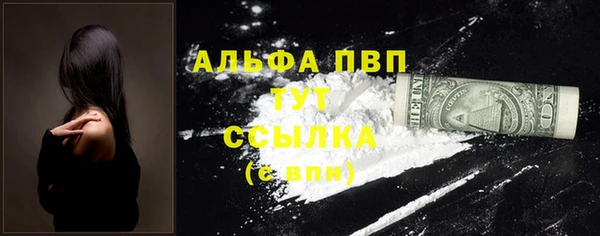 молекула духа Арсеньев