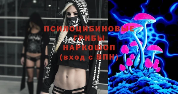 молекула духа Арсеньев