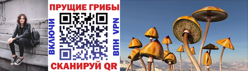 Галлюциногенные грибы прущие грибы  купить закладку  Лесосибирск 